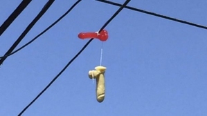 dildos.nar